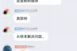 无棣为什么选择专业追讨公司来处理您的债务纠纷？